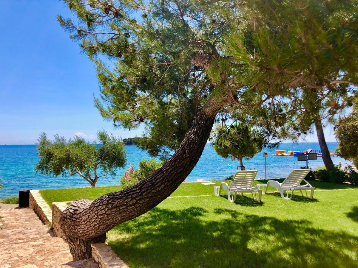 Al Mare Apartments Rovinj Dış mekan fotoğraf